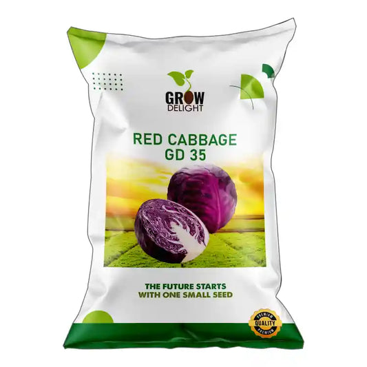 Grow Delight GD-35 Red Cabbage Seeds