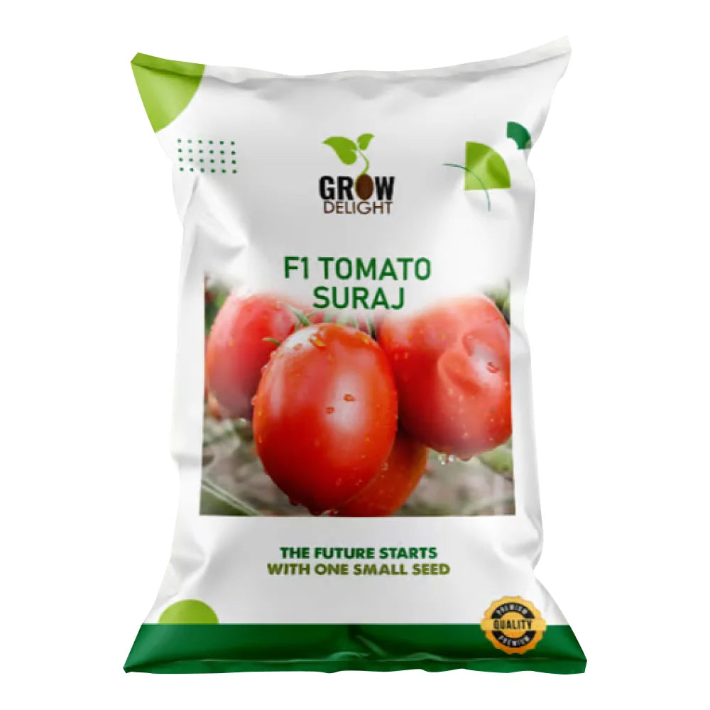 Grow Delight Suraj F1 Hybrid Tomato Seeds