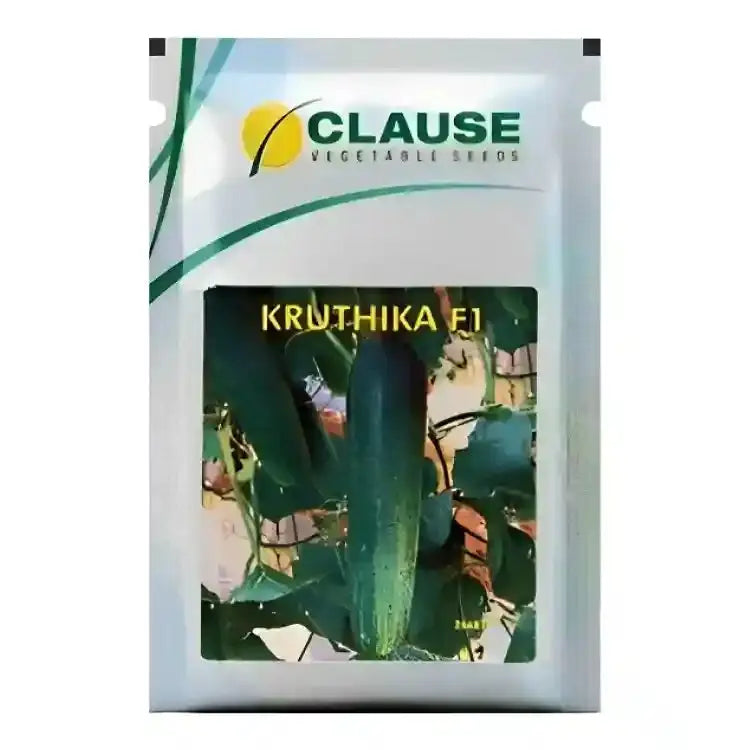 HM Clause Hybrid F1 Kruthika Cucumber Seeds