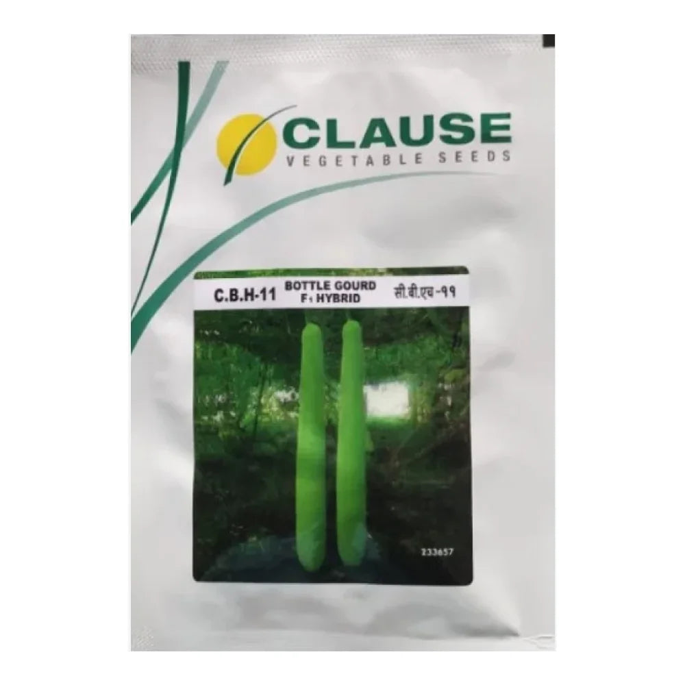 HM Clause CBH-11 F1 Hybrid Bottle Gourd Seeds