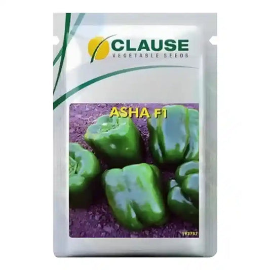 HM Clause Asha 150 Capsicum Seeds