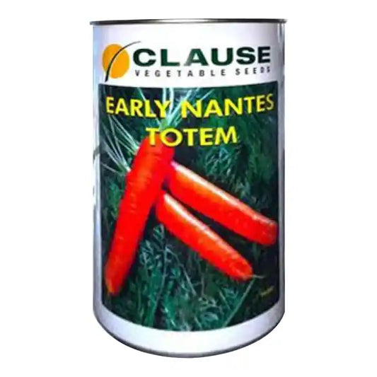 HM Clause Early Nantes Carrot Seeds