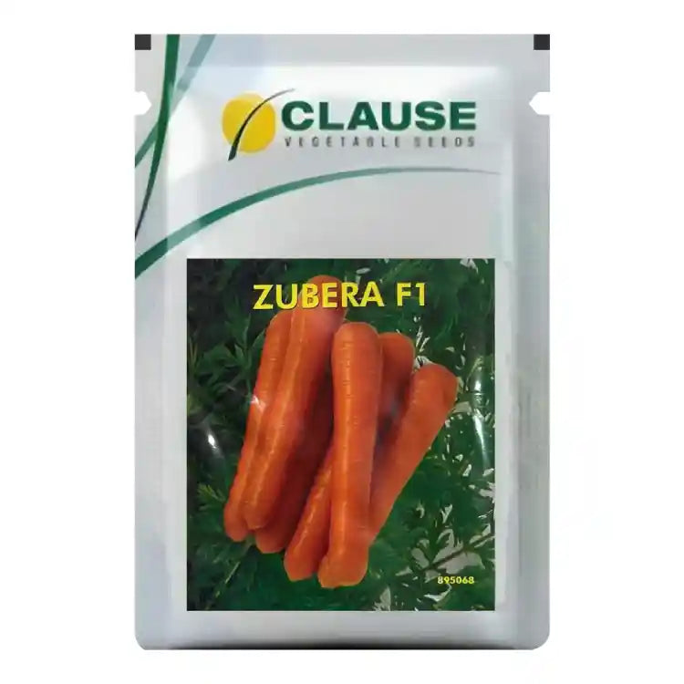 HM Clause  Zubera Carrot Seeds