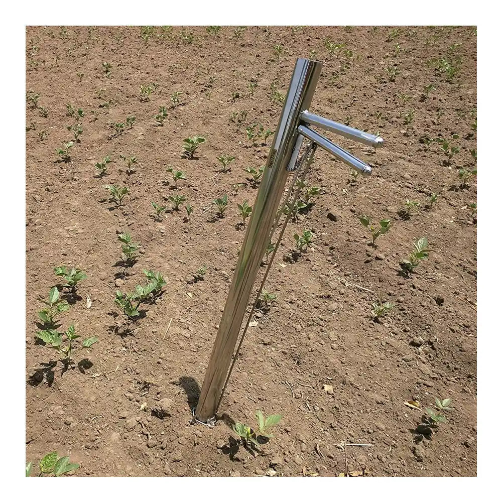 Hectare Stainless Steel Vegetable and Flowers Transplanter