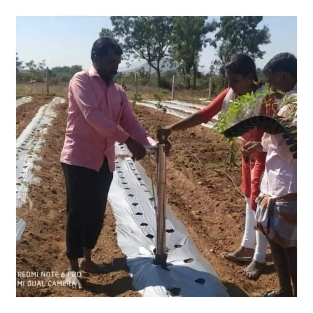 Hectare Stainless Steel Vegetable and Flowers Transplanter