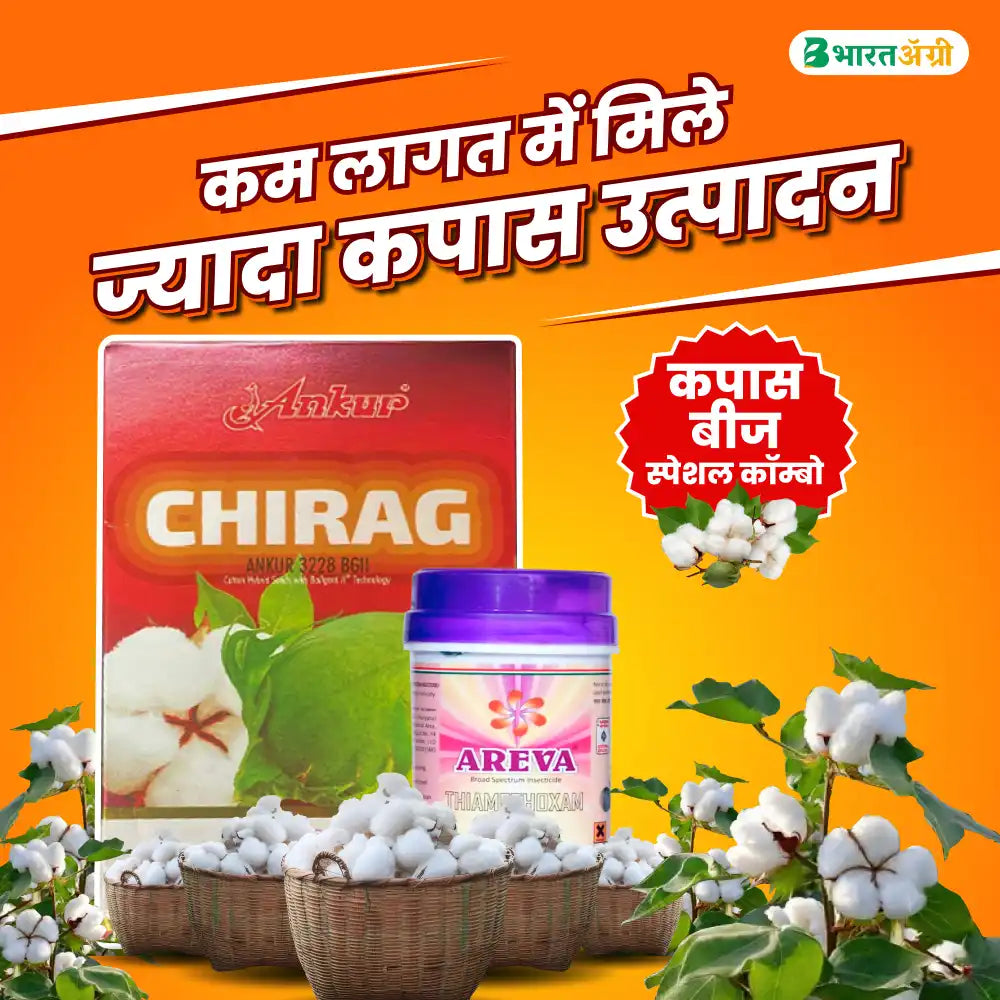 Ankur Chirag Cotton Seeds (475gm x 2) + Dhanuka Areva Insecticide (500gm) Combo