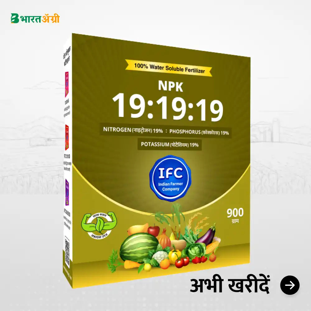 Onion Badhat Kit - Vegetative (0-30 days)