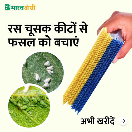 Garlic Suraksha Kit - Sucking Pest - BharatAgri Krushidukan_11