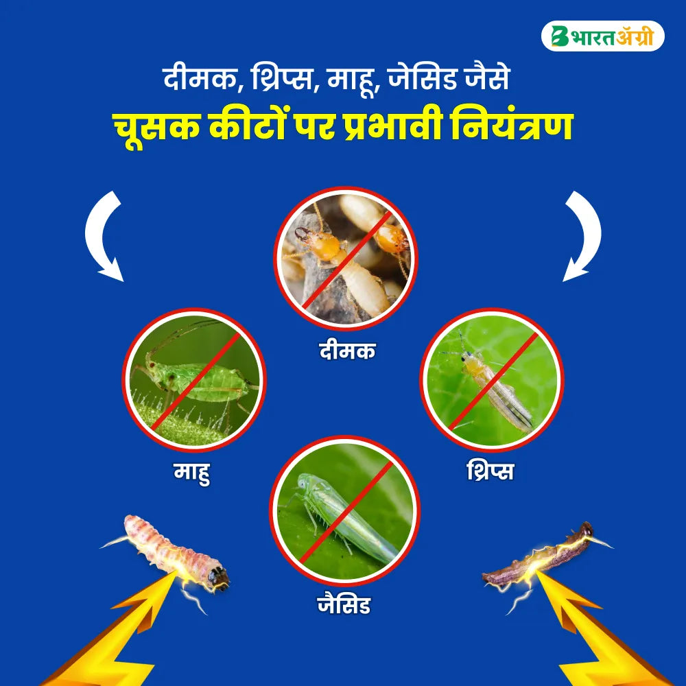 IFC Armour (Thiamethoxam 30% FS) Insecticide (1+1 Free)