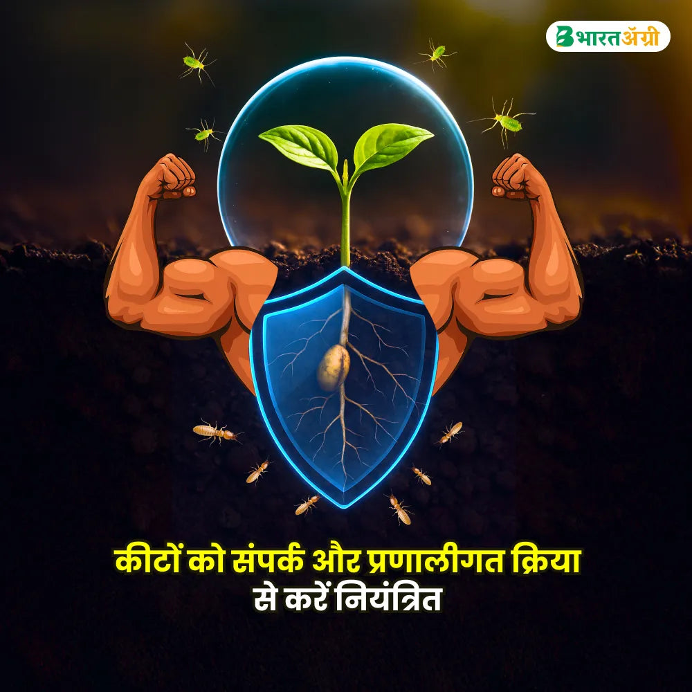 IFC Armour (Thiamethoxam 30% FS) Insecticide (1+1 Free)