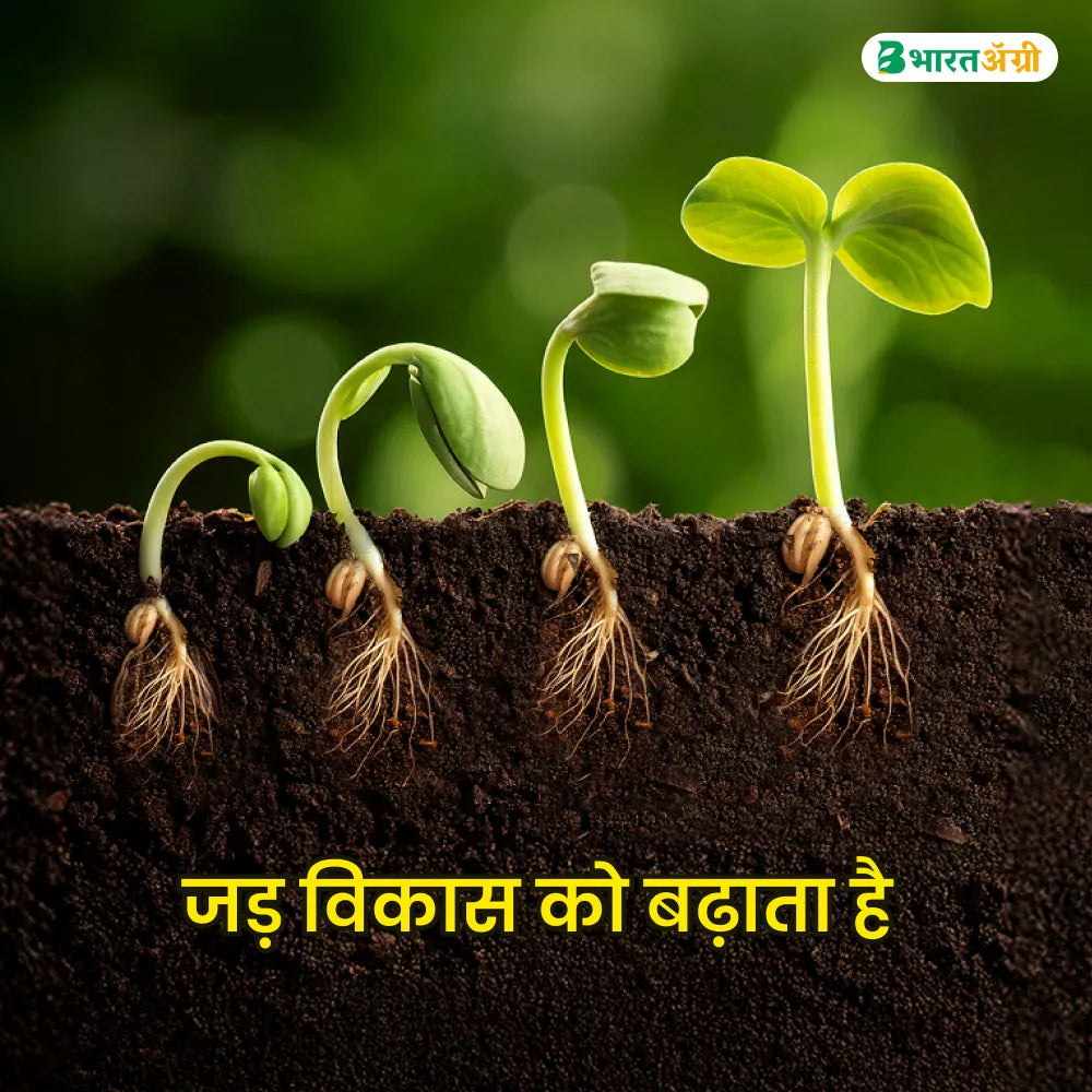 IFC Armour (Thiamethoxam 30% FS) Insecticide (1+1 Free)