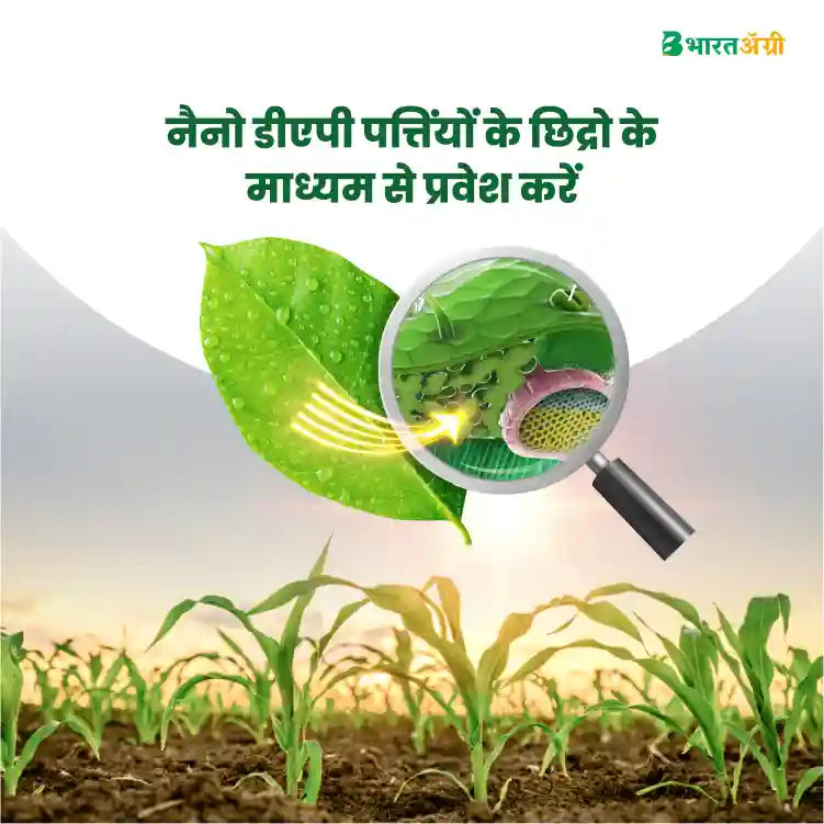 IFFCO Nano DAP (Liquid) Fertilizer