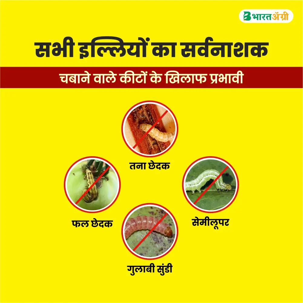 IIL Mission (Chlorantraniliprole 18.5% SC) Insecticide