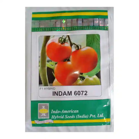 Indo American Indam 6072 Tomato Seeds