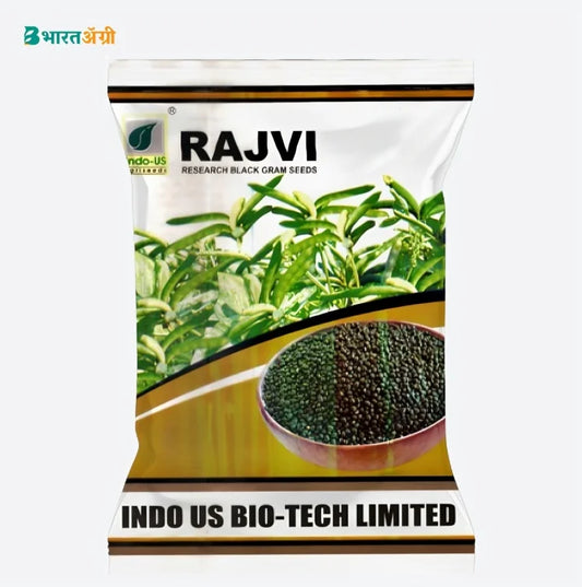 Indo US Rajvi Black Gram Seeds | BharatAgri Krushidukan