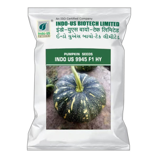 Indo US 9945 F1 Hybrid Pumpkin Seeds