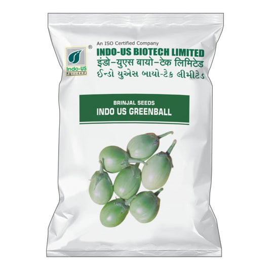 Indo US Greenball Brinjal Seeds