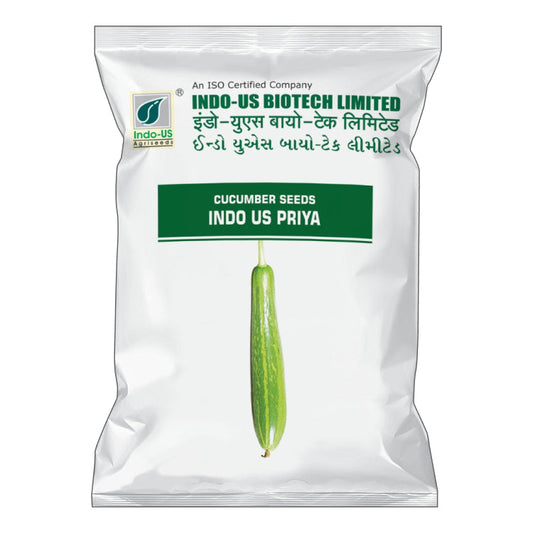 Indo US Priya Cucumber Seeds