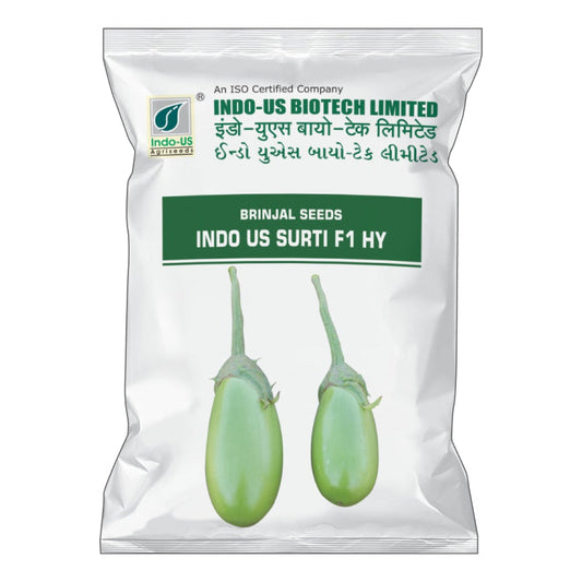 Indo US Surti F1 Hybrid Brinjal Seeds