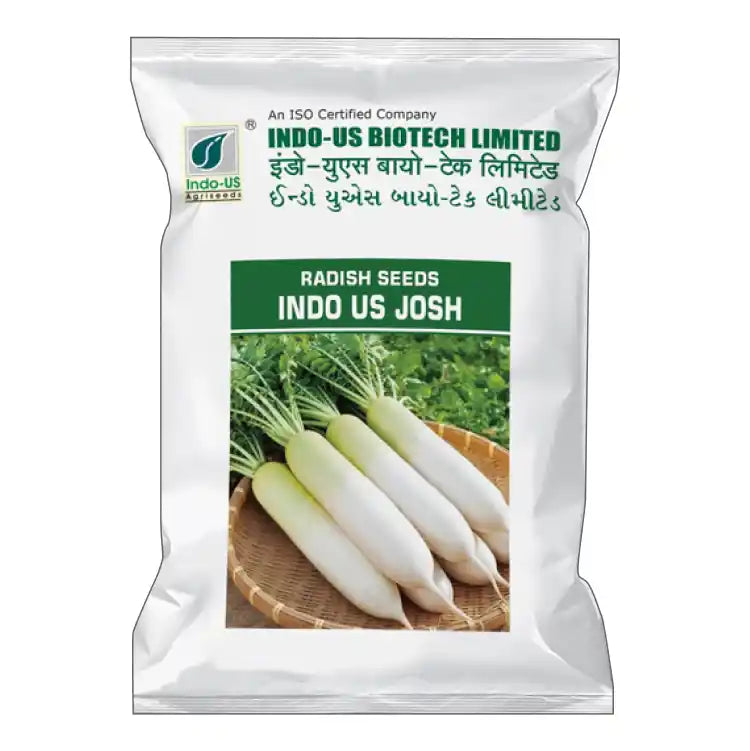 Indo-US Josh Radish Seeds