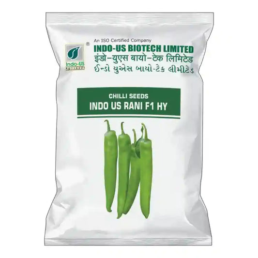 Indo US- Rani F1 Hybrid Chilli Seeds