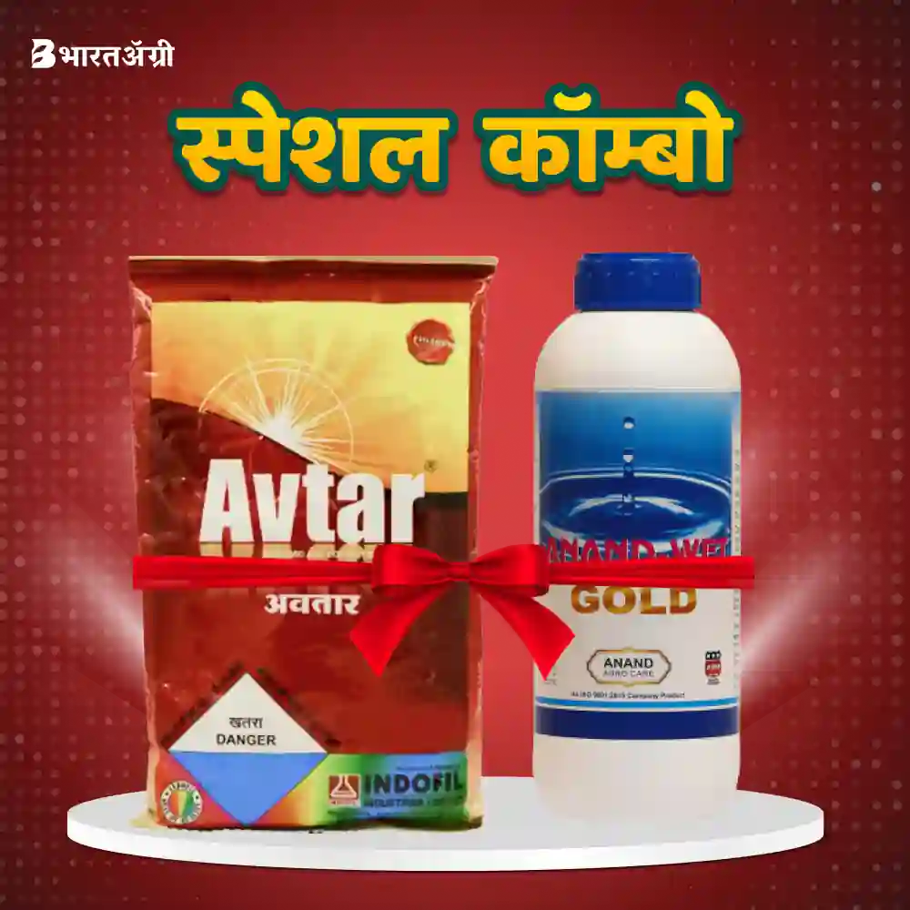 इंडोफिल अवतार (250 ग्राम) +आनंद एग्रो वेट गोल्ड (25 मिली) | Indofil Avtar (250 gm) + Anand Agro wet gold (25 ml)