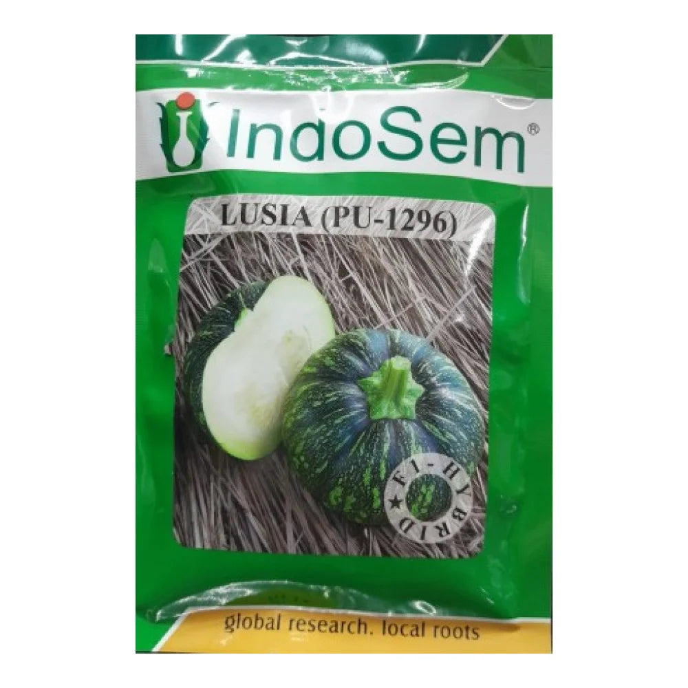 इंडोसेम लूसिया (PU-1296) कद्दू के बीज | Indosem Lusia (PU-1296) Pumpkin Seeds