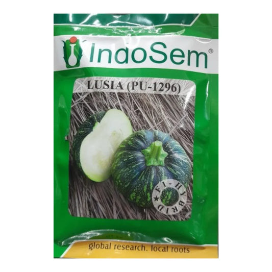 इंडोसेम लूसिया (PU-1296) कद्दू के बीज | Indosem Lusia (PU-1296) Pumpkin Seeds