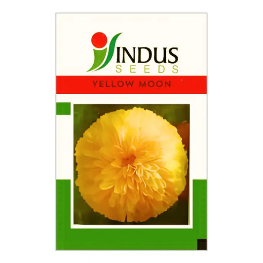 Indus Bijilee Yellow Moon Marigold Seeds