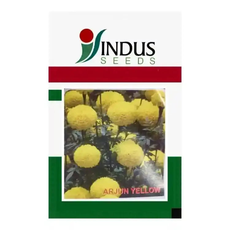 Indus Arjun Yellow Marigold Seed