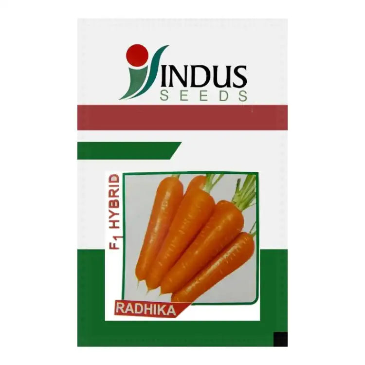 इंडस हाइब्रिड राधिका गाजर के बीज