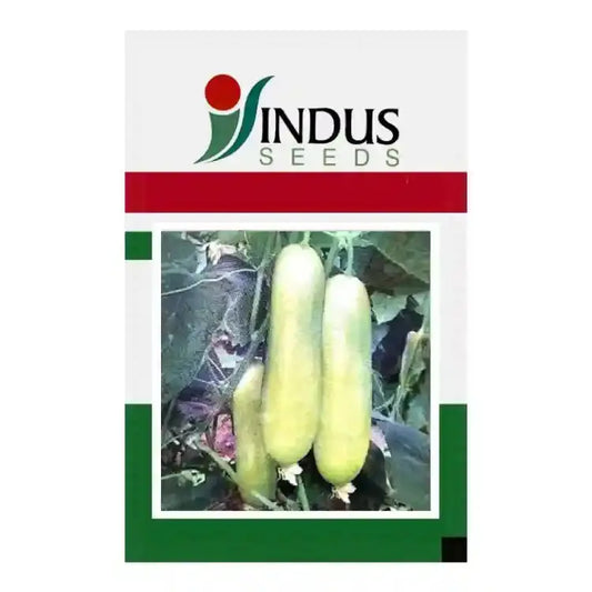 Indus Hema Cucumber Seeds