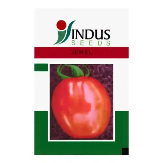 Indus Jewel Tomato Seeds