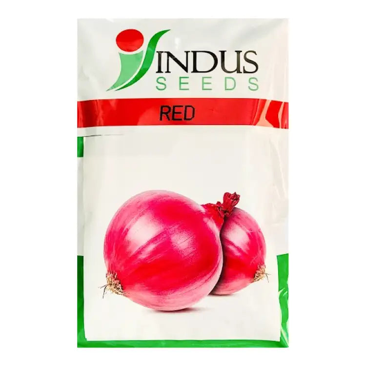 Indus Red Onion Seeds