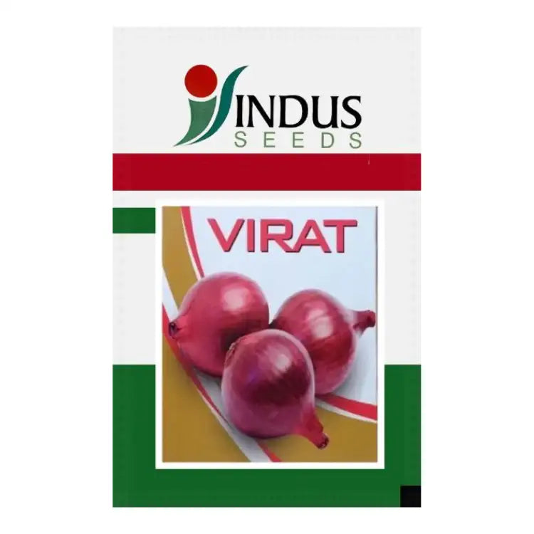 Indus Virat Onion Seeds