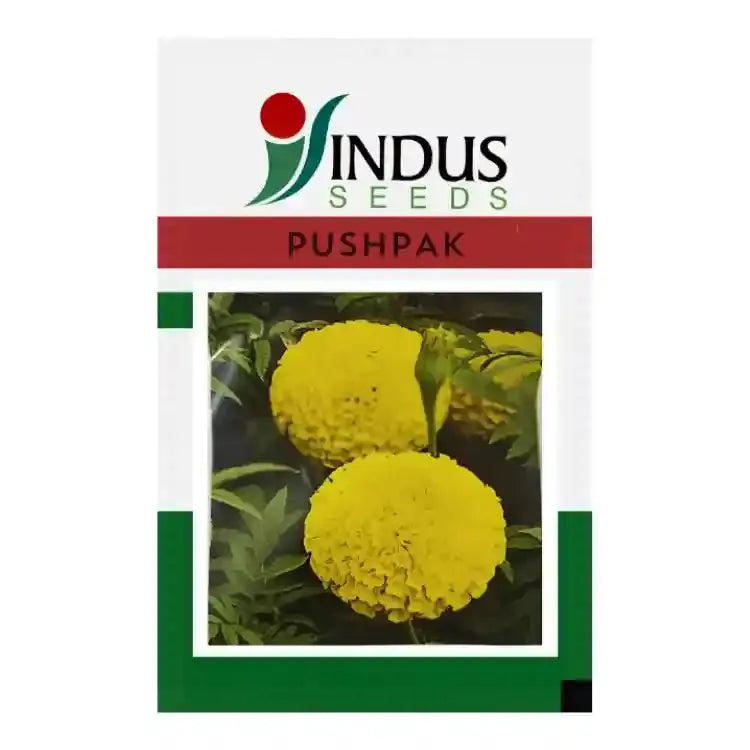 Indus Pushpak Marigold Seeds