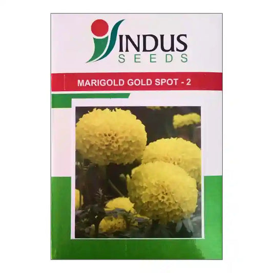 Indus Gold Spot-2 Marigold Seeds