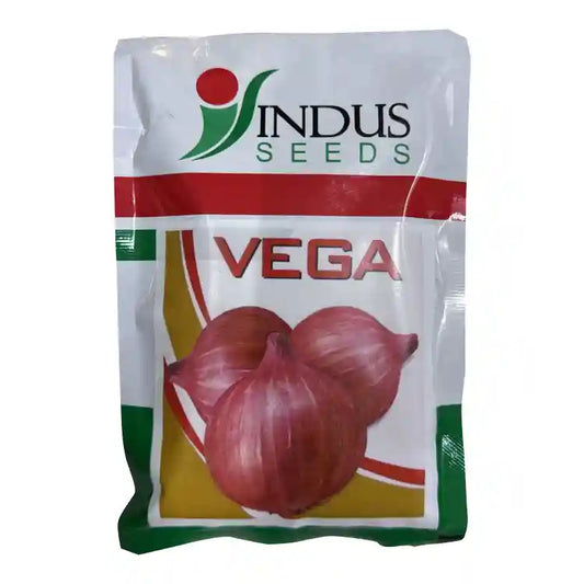 Indus Hybrid Vega Onion Seeds