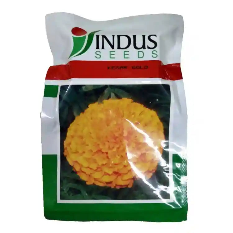 Indus Kesar Gold Marigold Seeds