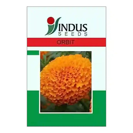 Indus Orbit Marigold Seeds