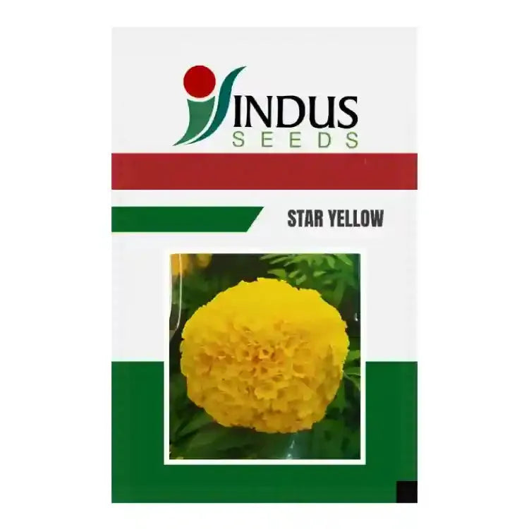 Indus Star Yellow Marigold Seeds