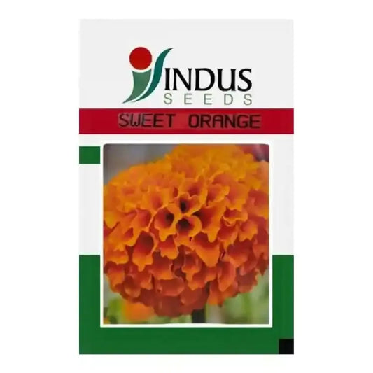 Indus Sweet Orange Marigold Seeds