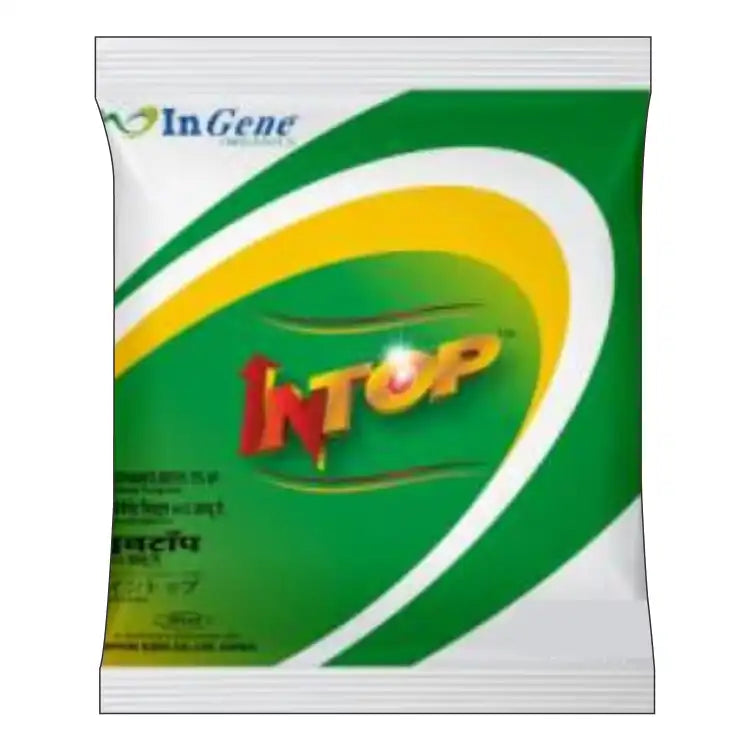 Ingene Intop (Thiophanate Methyl 70% WP) Fungicide