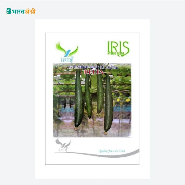 Iris Delta F1 Sponge Gourd Seeds_2 | BharatAgri Krushidukan