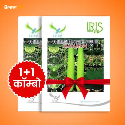 Iris Hazari 04 F1 Bottle Gourd Seeds (Long)_1 | BharatAgri Krushidukan