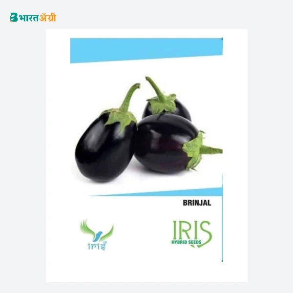Iris Hybrid F1 Brinjal Round Seeds_2 | BharatAgri Krushidukan