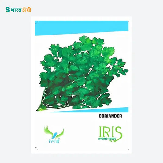 Iris Hybrid Coriander Vegetable Seeds (1+1 Combo)