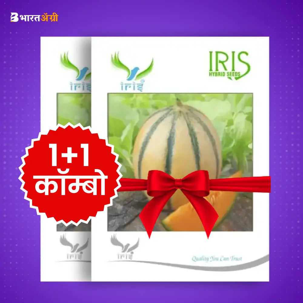 आइरिस हाइब्रिड F1 खरबूजे के बीज (1+1 कॉम्बो) | Iris Hybrid F1 Muskmelon Seeds (1+1 Combo)