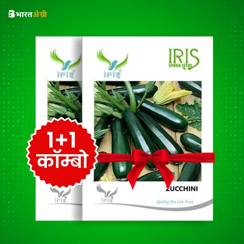 Iris Hybrid F1 Zucchini Seeds_1 | BharatAgri Krushidukan