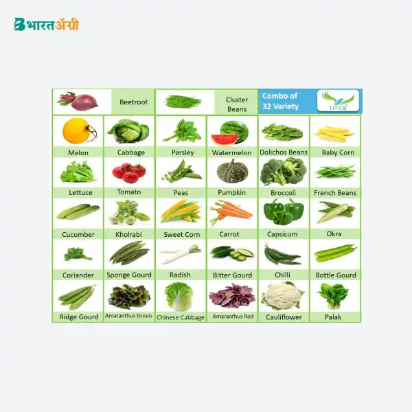 32 प्रकारच्या भाज्यांचा आयरिस हायब्रीड पॅक - 1255 बिया (1+1 कॉम्बो)